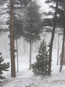 Reflecting on the Pandemic’s Impact for Our Remote Mountain Homestead Image